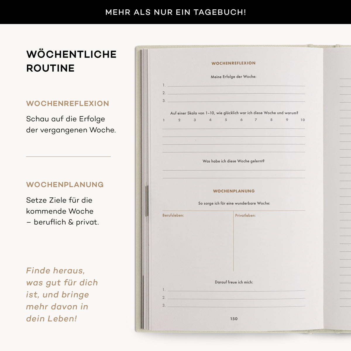 6-Minuten-Tagebuch PUR